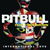 Pitbull featuring Chris Brown - International Love
